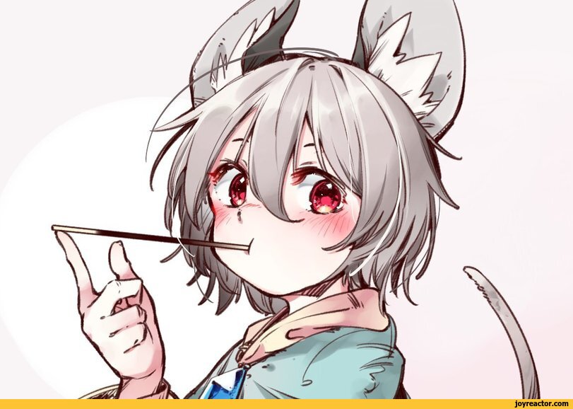 ,anime,fandoms,Nazrin,Touhou Project,Anime Tenchou x Touhou Project, Project Shrine Maiden,kibayashi kimori,Nezumimimi,Animal Ears (Anime),Anime Unsorted