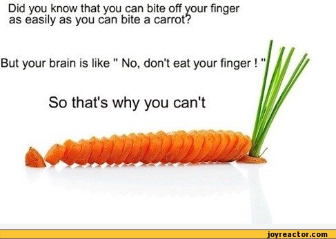 ﻿Did you know that you can bite off your finger as easily as you can bite a carrot?
But your brain is like " No, don’t eat your finger!
So that’s why you can't,funny pictures,auto