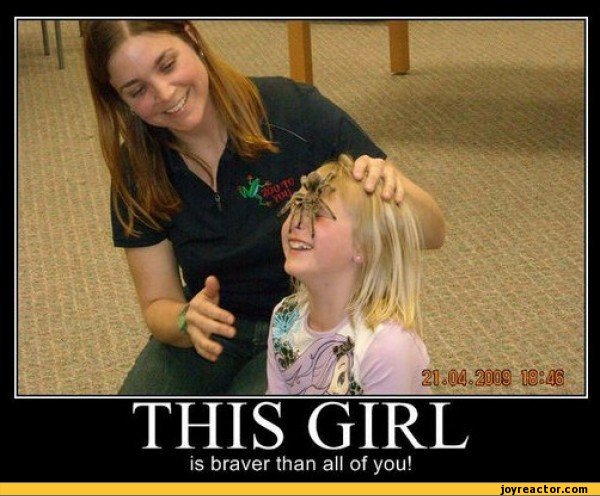 ﻿THIS GIRL
is braver than ail of you!,funny pictures,auto