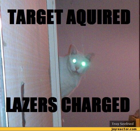 ﻿TARGET AQUIRED
В
1A2ERS CHARGER,funny pictures,auto