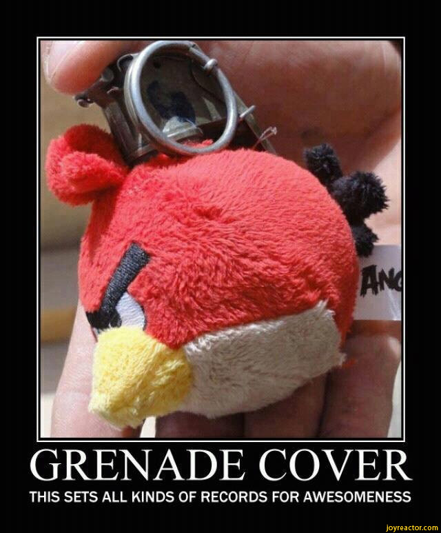 ﻿GRENADE COVER
THIS SETS ALL KINDS OF RECORDS FOR AWESOMENESS,funny pictures,auto